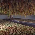 Apartment Agritourismus Vigne Di Pace By Interhome Umbertide