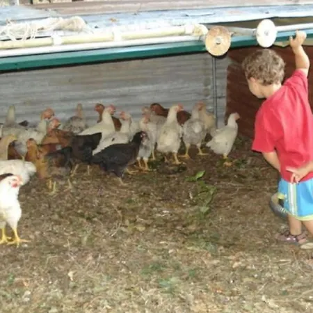 Agritourismus Vigne Di Pace By Interhome Lejlighed Umbertide