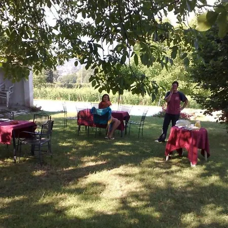 Lägenhet Agritourismus Vigne Di Pace By Interhome Umbertide