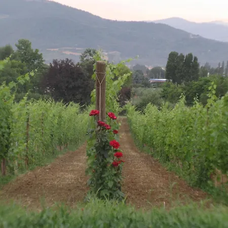 Apartamento Agritourismus Vigne Di Pace By Interhome Umbertide