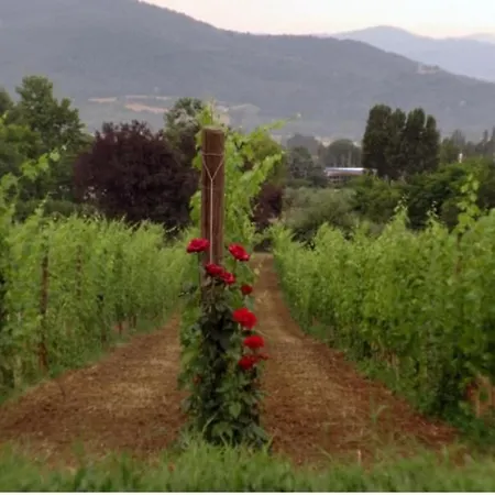 Agritourismus Vigne Di Pace By Interhome *