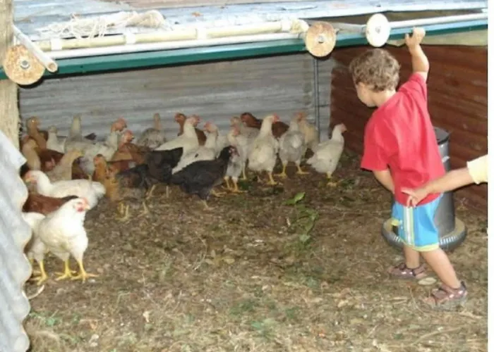 Agritourismus Vigne Di Pace By Interhome Lejlighed Umbertide