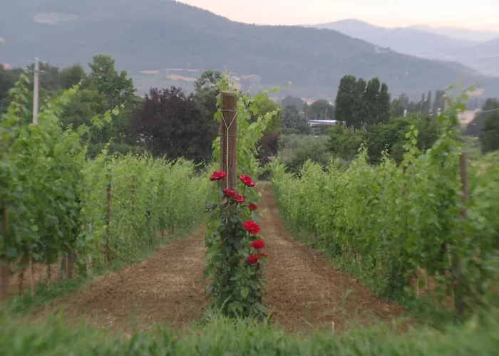 Apartamento Agritourismus Vigne Di Pace By Interhome Umbertide