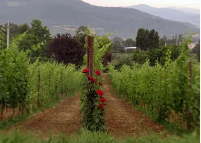 Agritourismus Vigne Di Pace By Interhome *