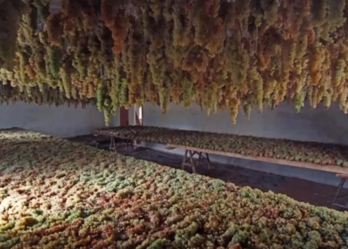 Apartamento Agritourismus Vigne Di Pace By Interhome Umbertide